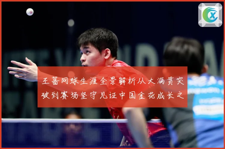 王蔷网球生涯全景解析从大满贯突破到赛场坚守见证中国金花成长之路-深度解析